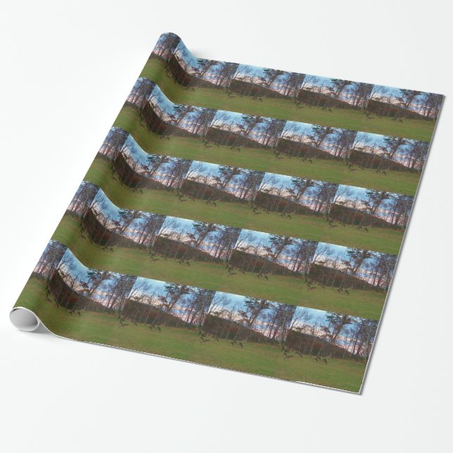 Field of Deer & a Pink SunSet Wrapping Paper (Unrolled)