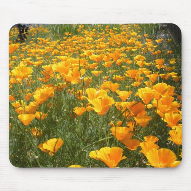 Field of Dreams Mouse Pad (Front)