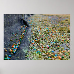 Field of Dreams Poster