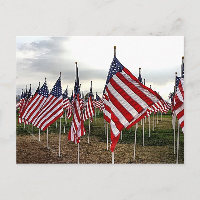 Field of Flags - Patriotic American Flags Postcard (Front)