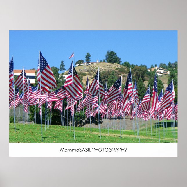 Field Of Flags Poster! Poster (Front)