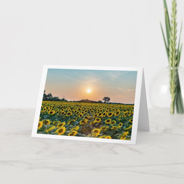 "Field of Flowers" blank folded greeting card (Front)