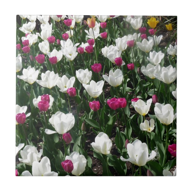 Field Of Flowers Ceramic Tile (Front)