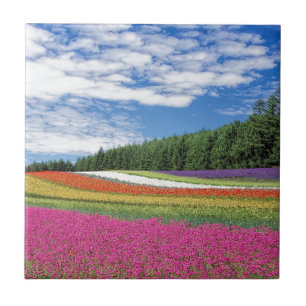 Field of Flowers Ceramic Tile