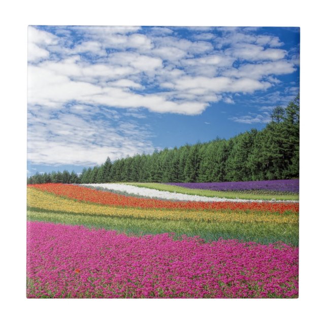 Field of Flowers Ceramic Tile (Front)
