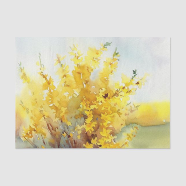 Field of Flowers-Forsythia (C) Watercolor  Tissue Paper (Front)