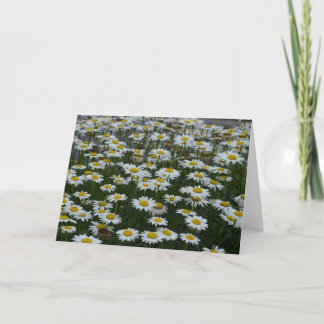 Field of flowers greeting card