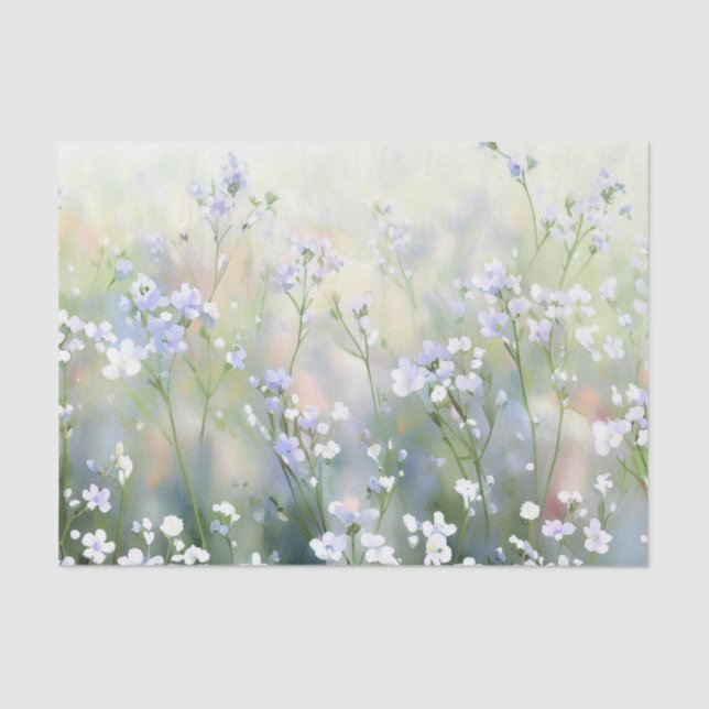 Field of Flowers-Gypsophila (B) Watercolor  Tissue Paper (Front)
