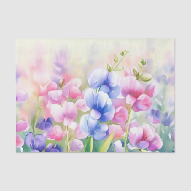 Field of Flowers-Sweet Pea (C) Watercolor  Tissue Paper (Front)