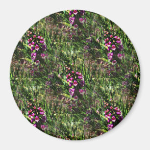 Field of Foxglove flowers..... Magnet