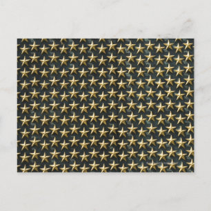Field of gold stars at World War II Memorial Postcard