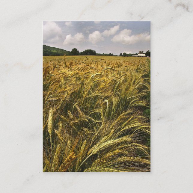 Field of Grain ATC Business Card (Front)