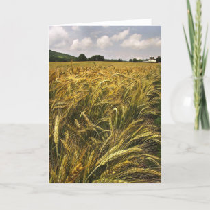 Field of Grain Card