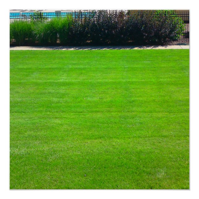 Field of Grass Perfect Poster (Front)