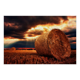 Field of Hay Bales Poster