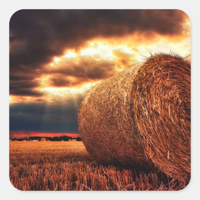 Field of Hay Bales Square Sticker (Front)