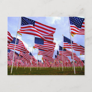 Field of Honour Postcard