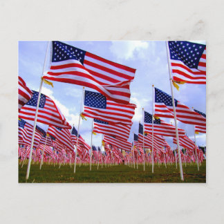 Field of Honour Postcard