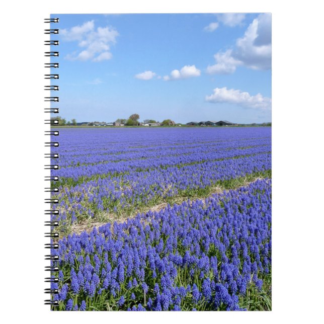 Field of Hyacinths Notebook (Front)