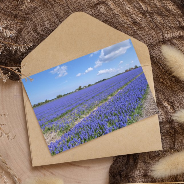 Field of Hyacinths Paper  (Creator Uploaded)
