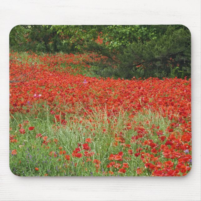 Field of hybrid poppy flowers planted along mouse pad (Front)