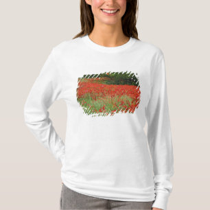 Field of hybrid poppy flowers planted along T-Shirt