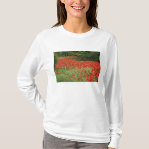 Field of hybrid poppy flowers planted along T-Shirt