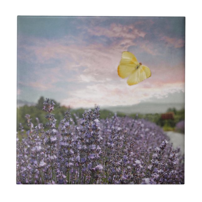 Field of Lavender Flowers, Blue Sky, Pink Sunset, Tile (Front)