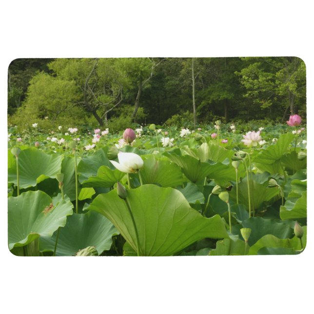 Field of Lotus Flowers Summer Garden Floor Mat (Front)