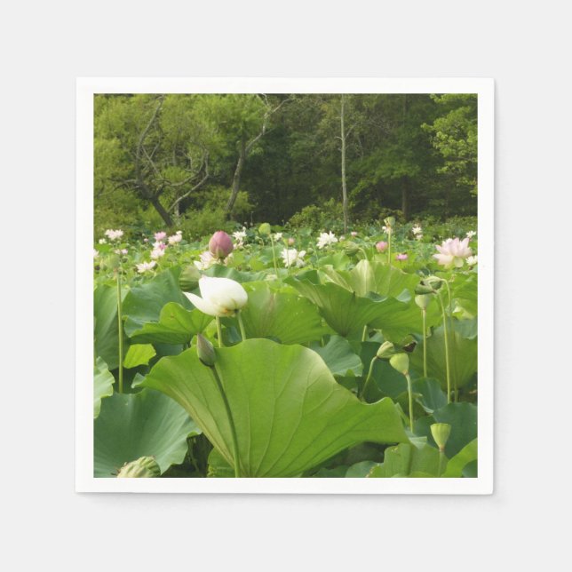 Field of Lotus Flowers Summer Garden Napkin (Front)