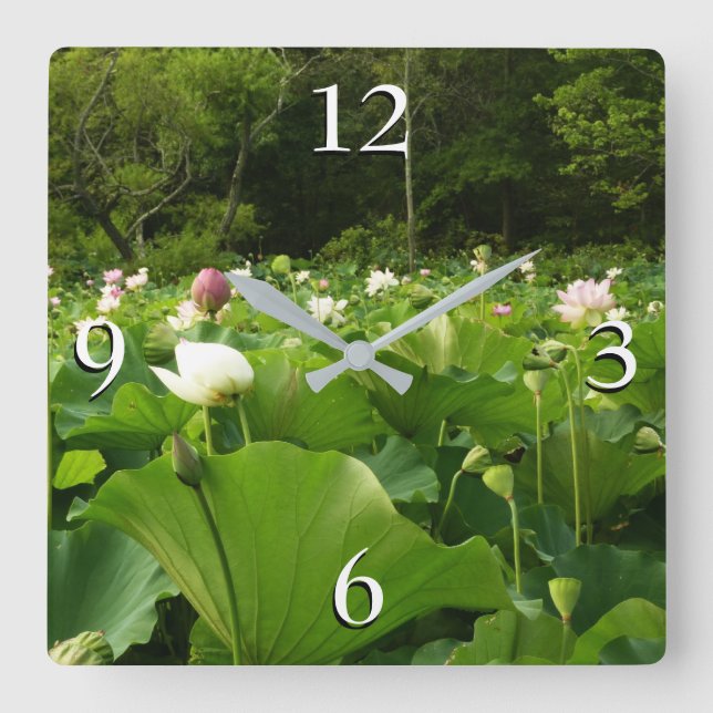 Field of Lotus Flowers Summer Garden Square Wall Clock (Front)