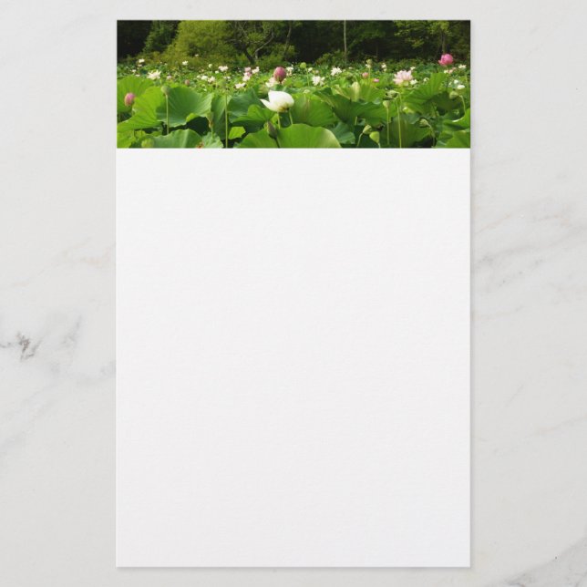 Field of Lotus Flowers Summer Garden Stationery (Front)