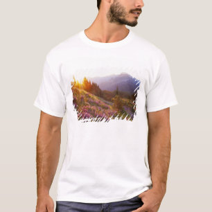 Field of lupine and Olympic Mountains at T-Shirt