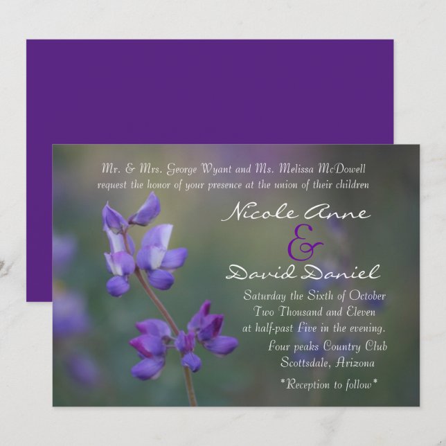 field of Lupine invitation horizontal (Front/Back)