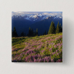 Field of lupine, Mt. Olympus, and clouds at 15 Cm Square Badge