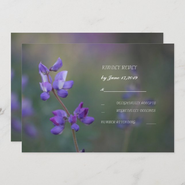 Field of Lupine RSVP Invitation (Front/Back)