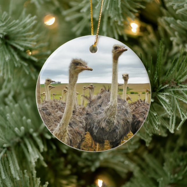 Field of Ostriches Ceramic Tree Decoration (Tree)