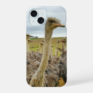 Field of Ostriches iPhone 15 Case