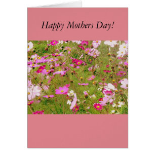 Field Of Pink Flowers