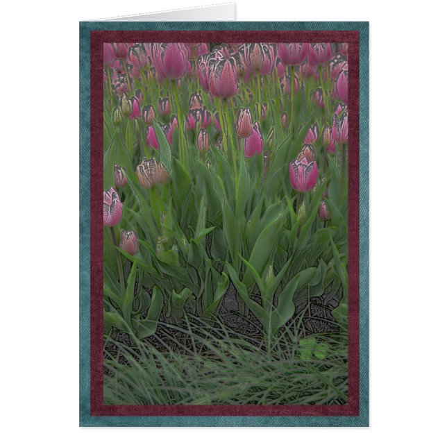 Field of pink tulips (Front)