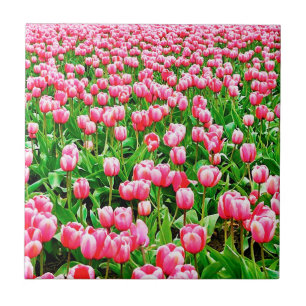 Field of Pink Tulips Ceramic Tile