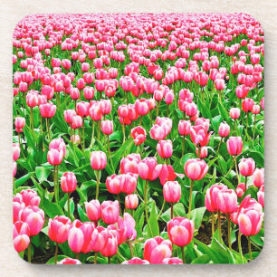 Field of Pink Tulips Coaster
