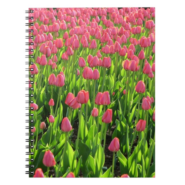 Field of Pink Tulips Notebook (Front)