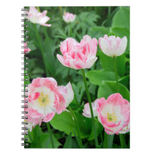 Field of pink tulips notebook