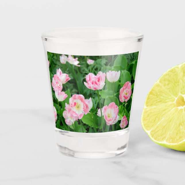 Field of pink tulips shot glass (Front)