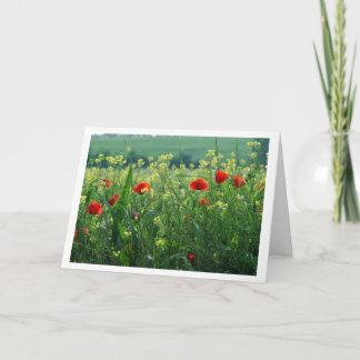 Field of Poppies Card