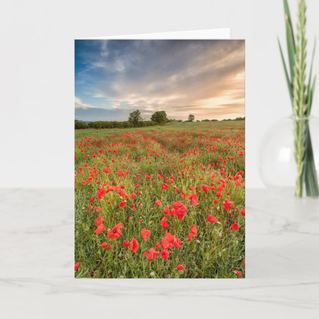 Field of Poppies Card (Front)