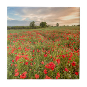 Field of Poppies Ceramic Tile