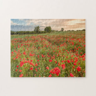 Field of Poppies Jigsaw Puzzle