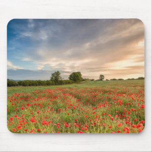 Field of Poppies Mouse Pad